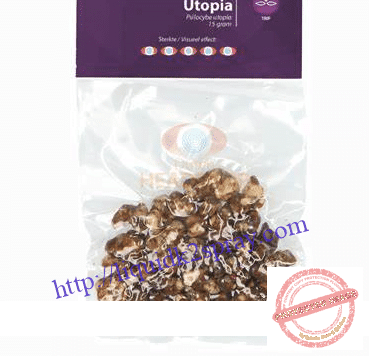 magic truffles for sale online