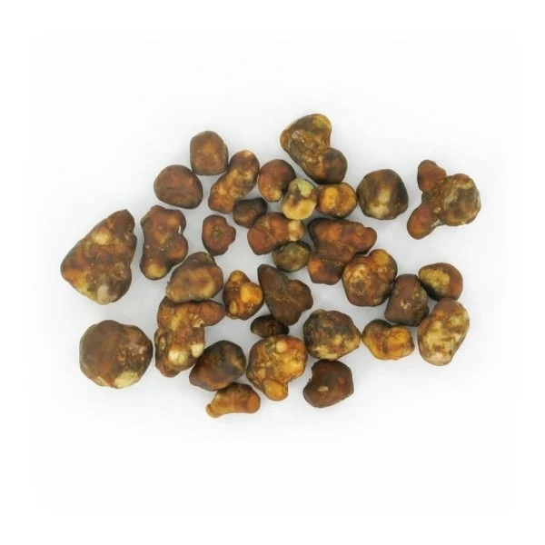 magic-truffels-fantasia Magic Truffle Fantasia fresh psilocybin truffles displayed